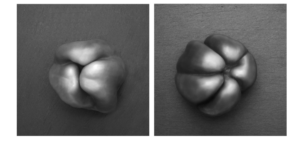 Fun with pepper photography in black and&nbsp;white