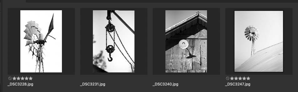 Taking photographs for the sake of shooting: reflections on photography, and on being a&nbsp;photographer