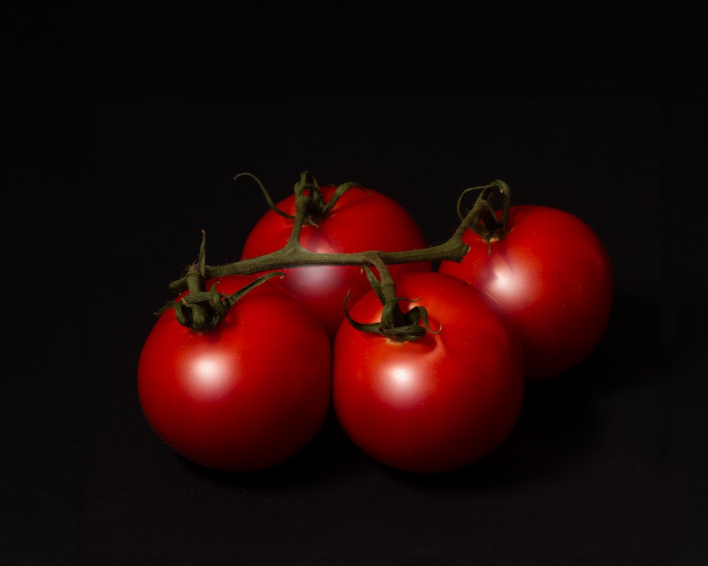 Autumn still life photography – California&nbsp;harvest